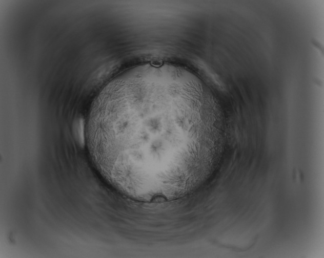 X0000095690022200801221257