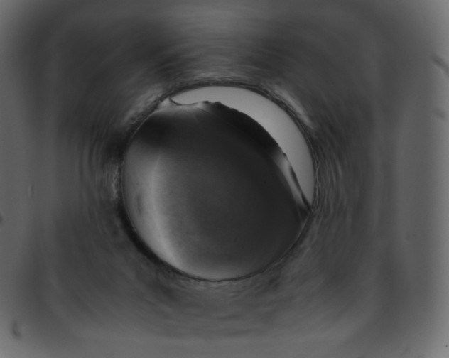 X0000095690023200801221257