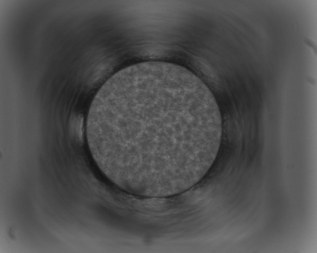 X0000095690024200801221257