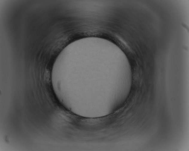 X0000095690025200801221257