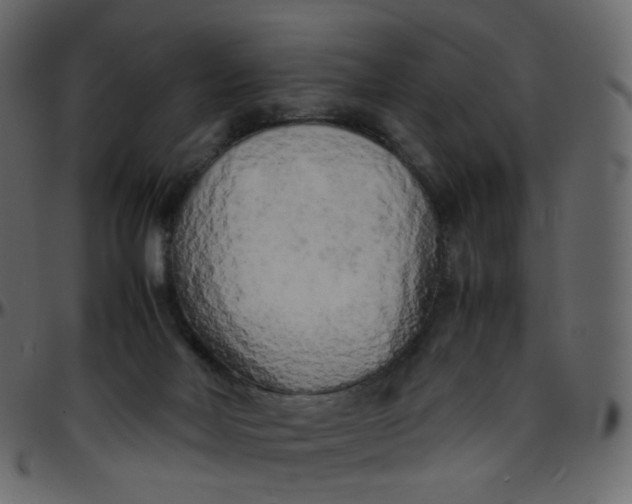 X0000095690026200801221257