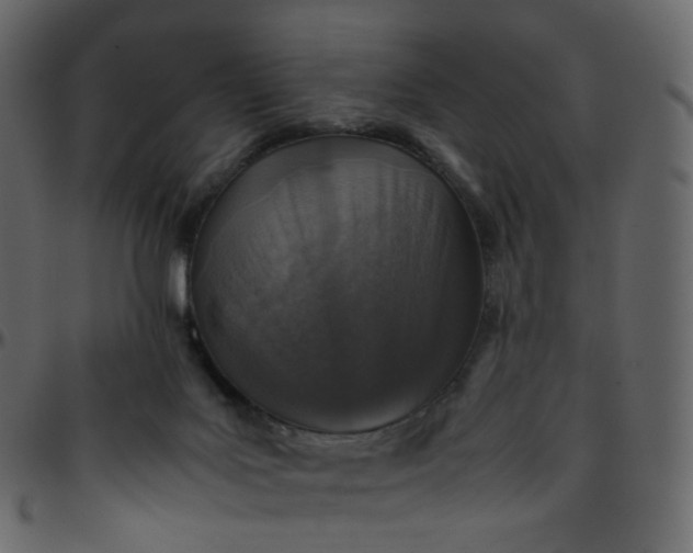 X0000095690027200801221257