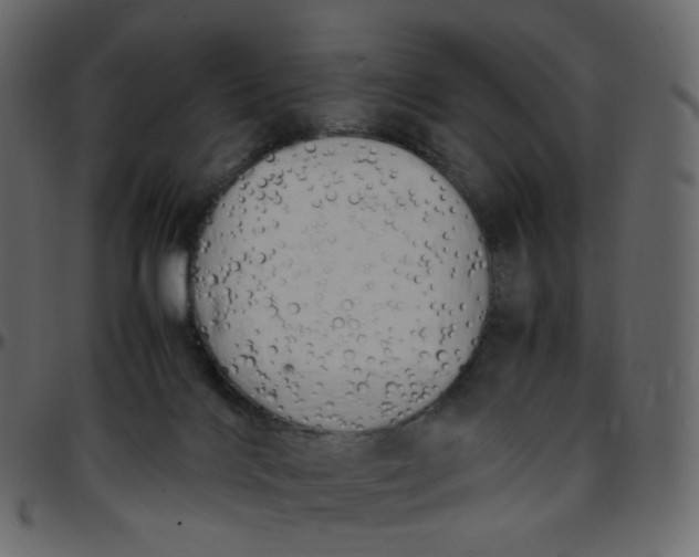 X0000095690028200801221257