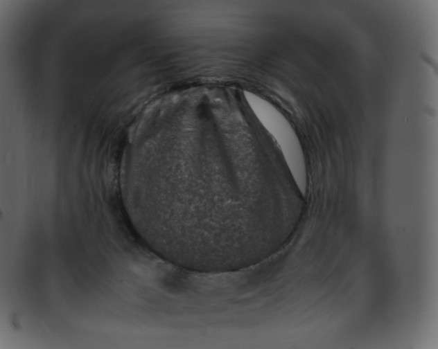 X0000095690029200801221257