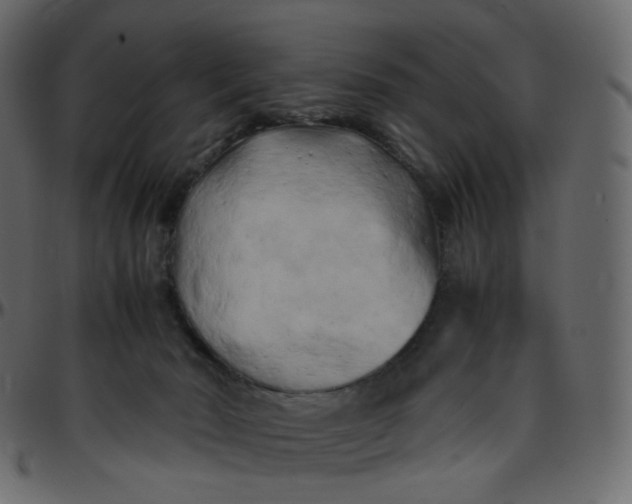 X0000095690030200801221257