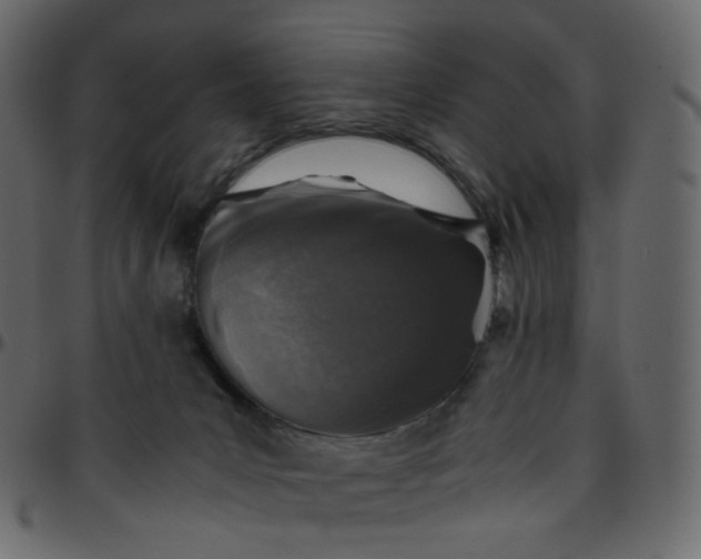 X0000095690031200801221257