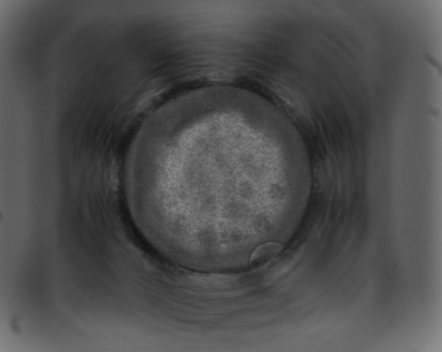 X0000095690032200801221257