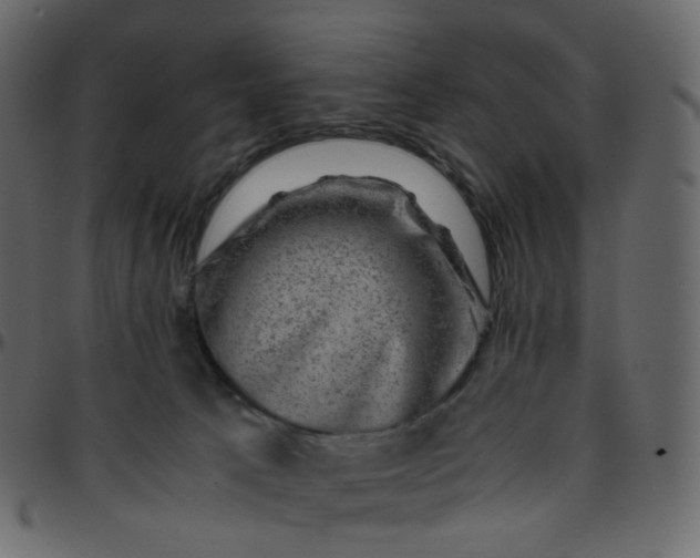 X0000095690033200801221257