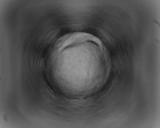 X0000095690034200801221257