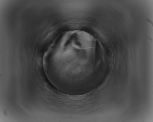 X0000095690035200801221257