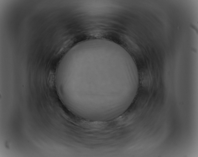 X0000095690036200801221257