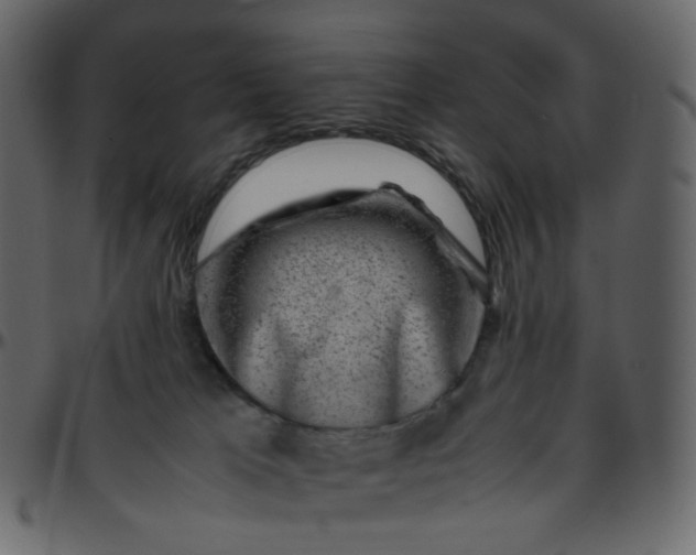 X0000095690037200801221257