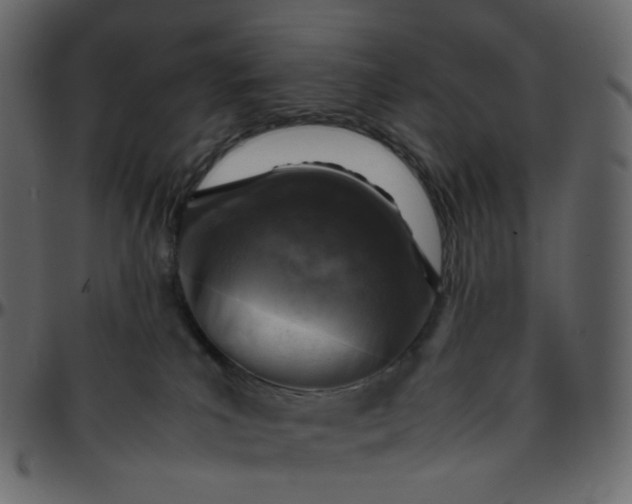 X0000095690039200801221257