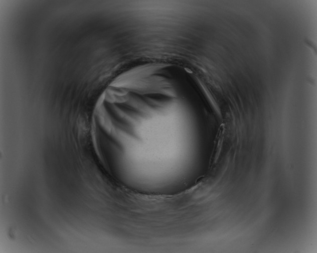 X0000095690040200801221257