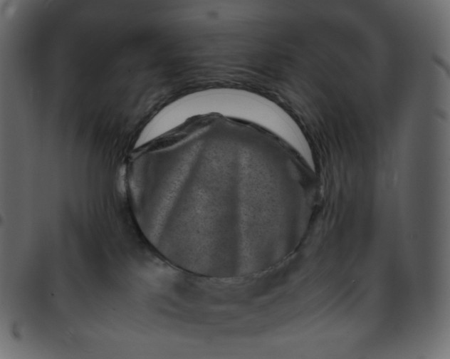 X0000095690041200801221257