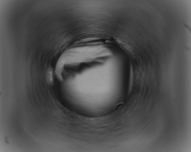 X0000095690042200801221257