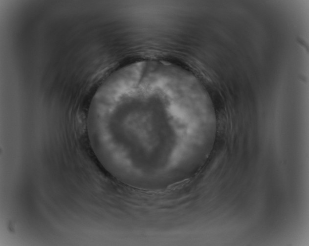 X0000095690043200801221257