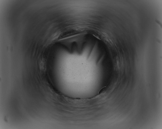 X0000095690044200801221257