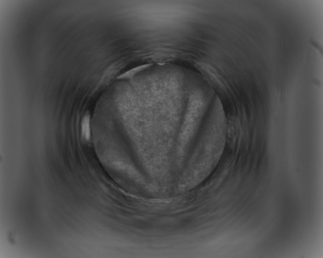 X0000095690046200801221257