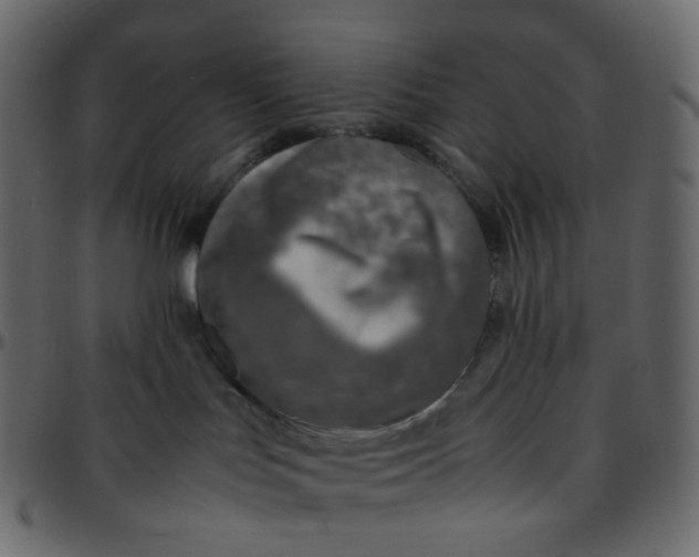 X0000095690047200801221257