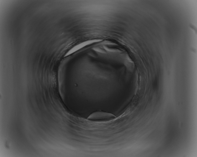 X0000095690048200801221257