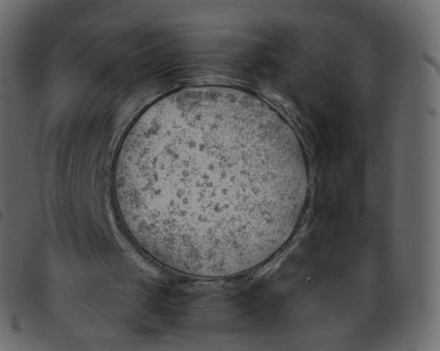 X0000095690049200801221256