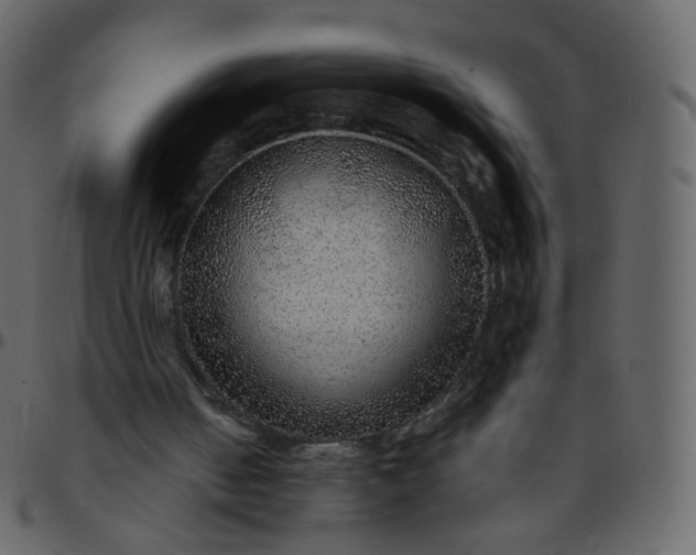 X0000095690050200801221256