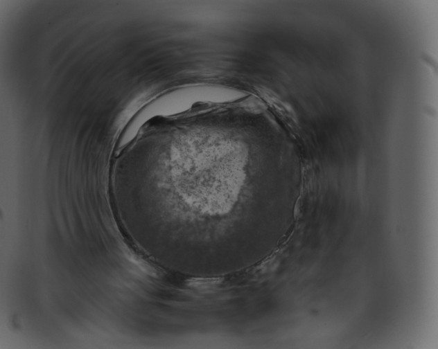 X0000095690051200801221256