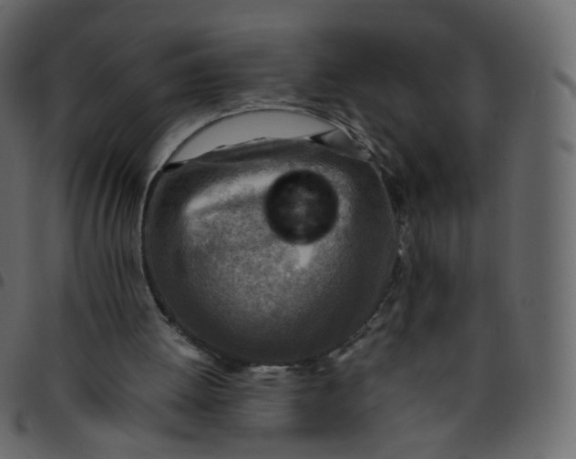 X0000095690052200801221256