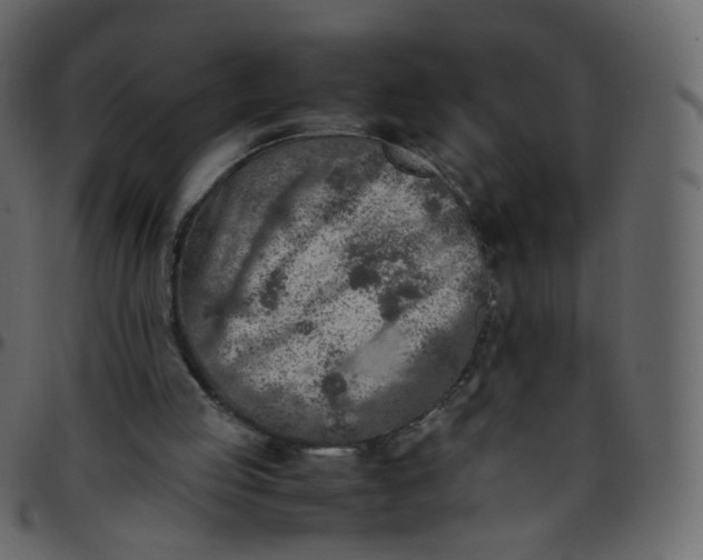 X0000095690053200801221256