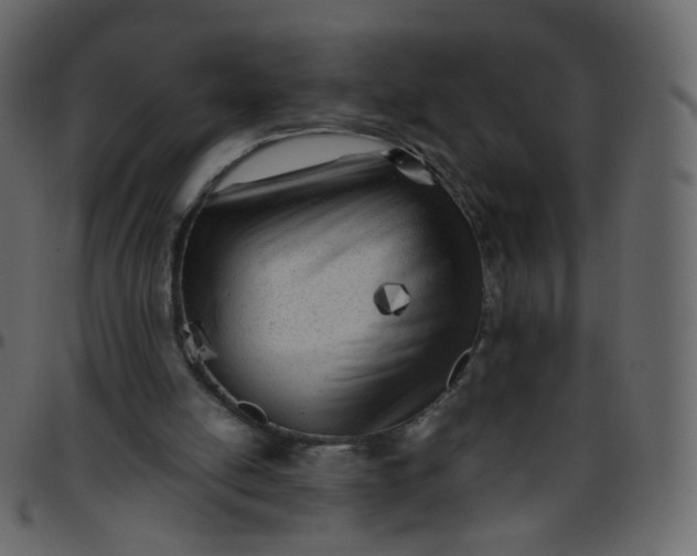 X0000095690054200801221256