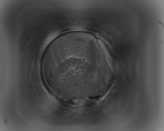 X0000095690055200801221256