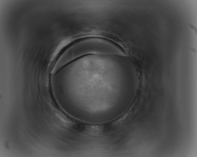 X0000095690056200801221256