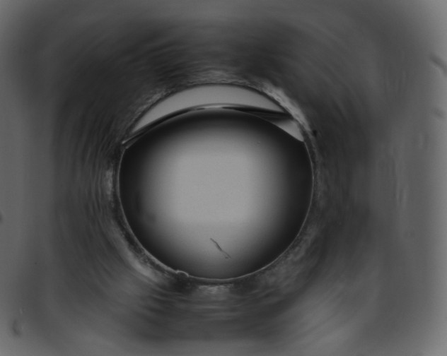 X0000095690057200801221256