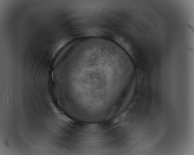 X0000095690058200801221256