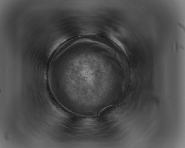 X0000095690059200801221256