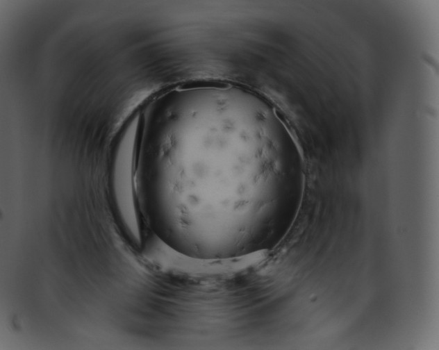 X0000095690060200801221256