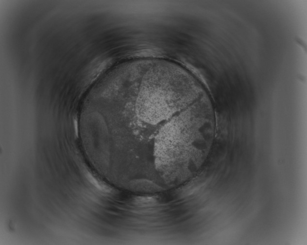 X0000095690061200801221256