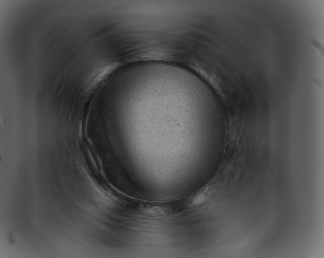 X0000095690062200801221256