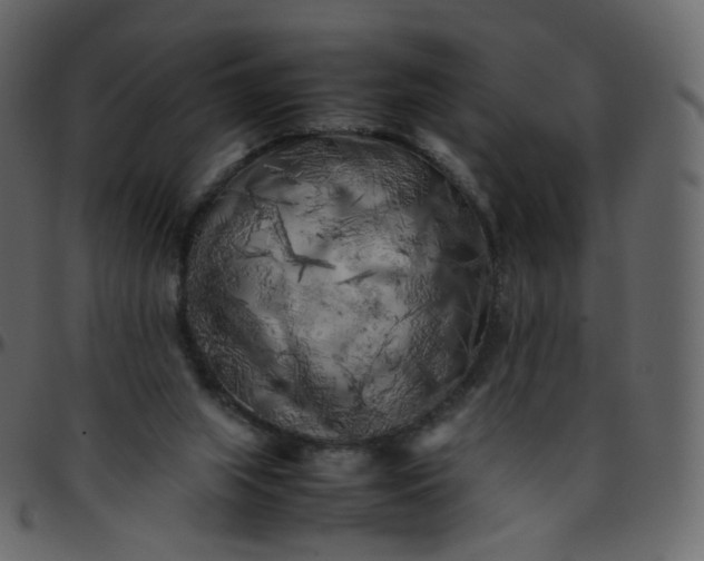 X0000095690063200801221256