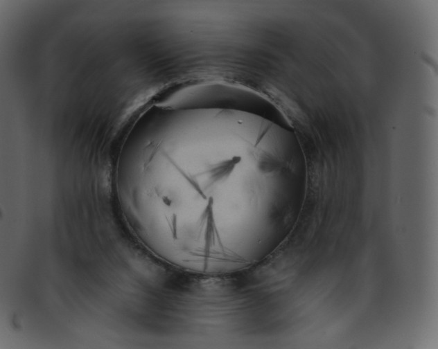 X0000095690064200801221256