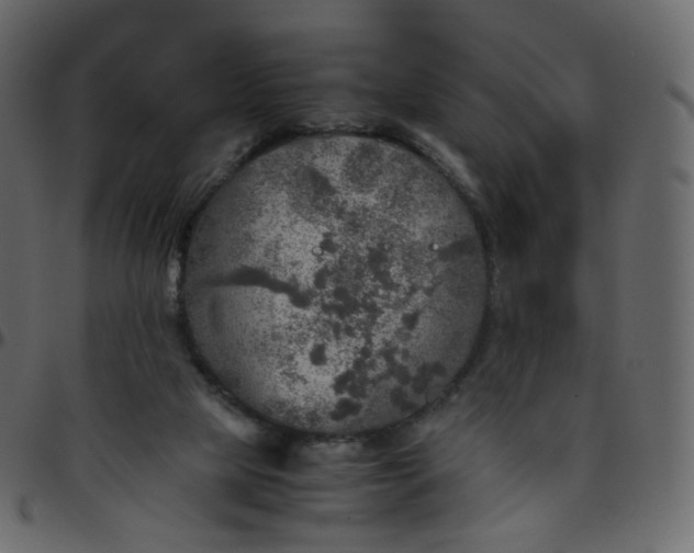 X0000095690065200801221256