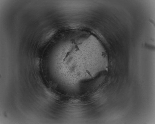 X0000095690066200801221256