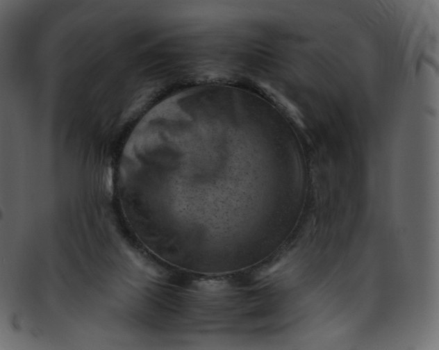 X0000095690067200801221256