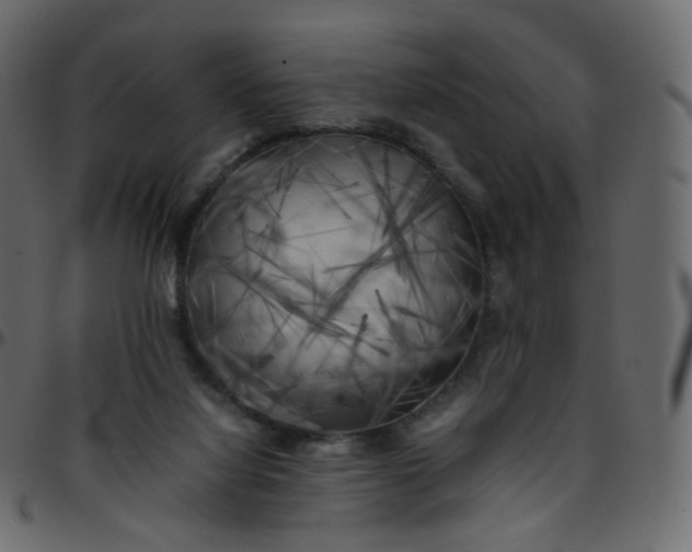 X0000095690068200801221256