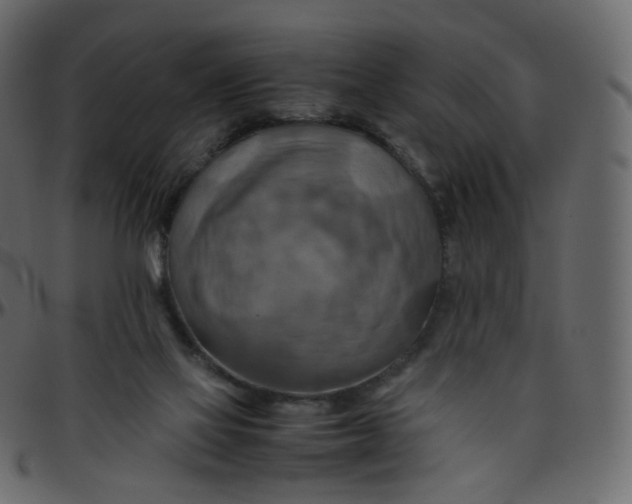 X0000095690069200801221256