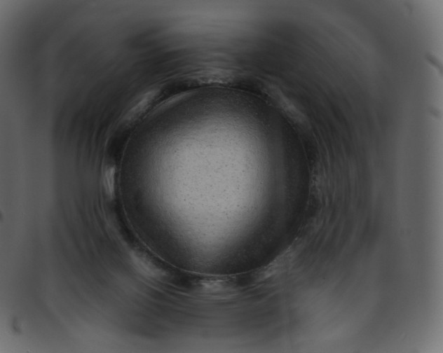 X0000095690070200801221256