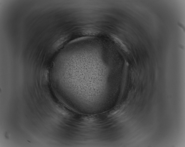 X0000095690071200801221256