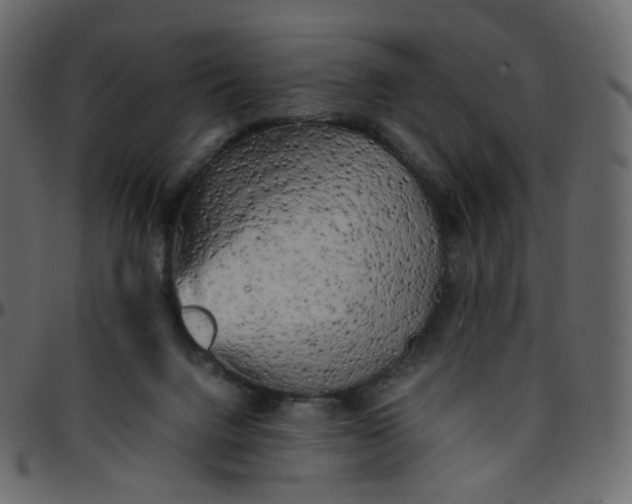 X0000095690072200801221256