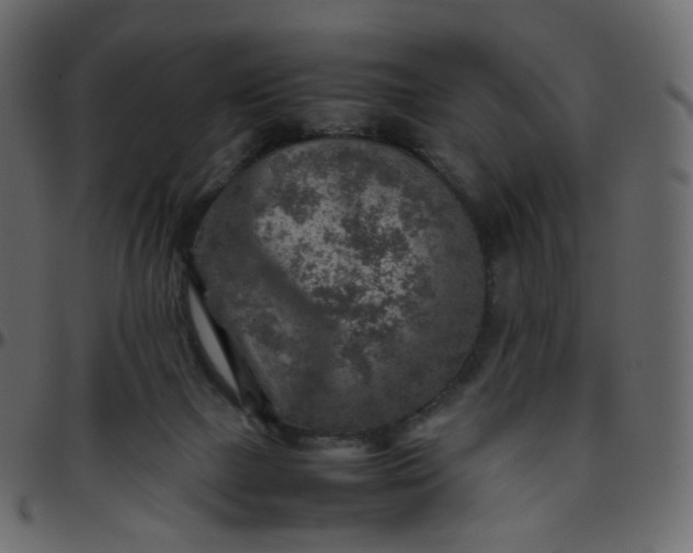 X0000095690073200801221256